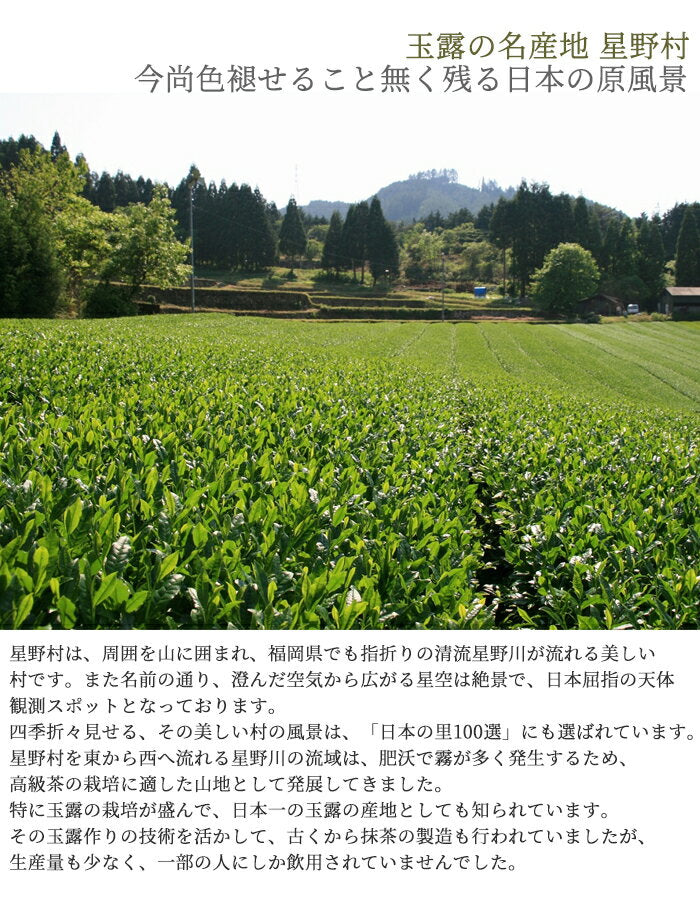 Hoshino Seichaen( Yame no Hana-八女の華) 40g