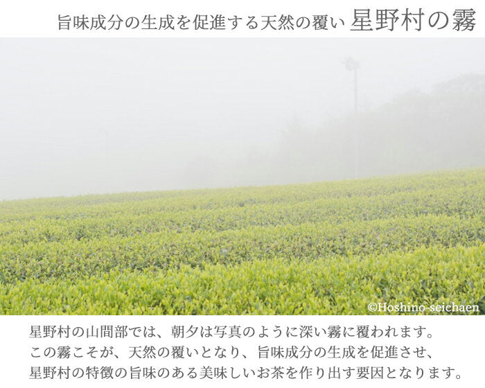 Hoshino Seichaen( Yame no Hana-八女の華) 40g