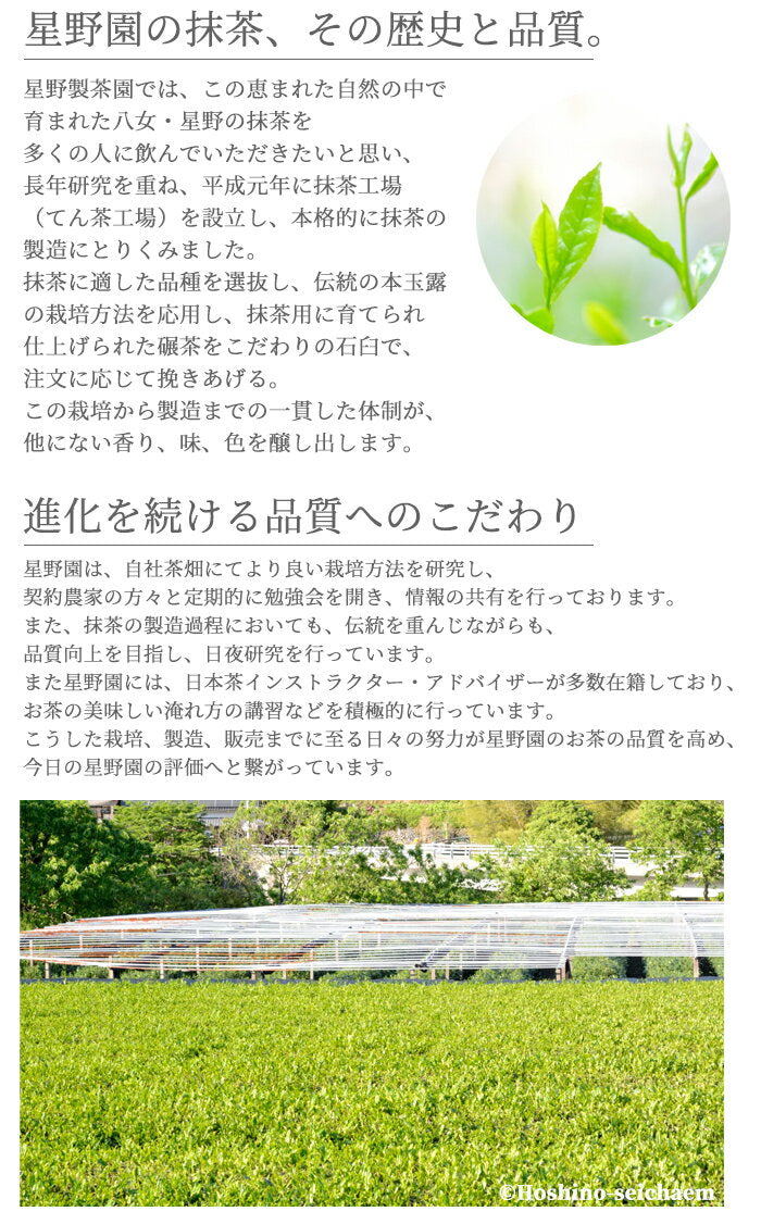 Hoshino Seichaen( Yame no Hana-八女の華) 40g