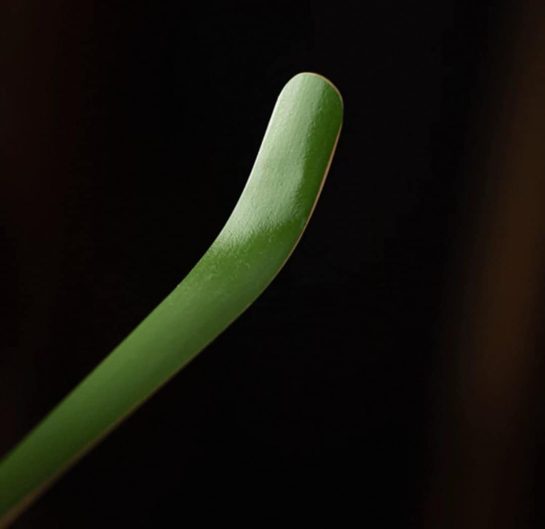 Green Painted Chashaku Japanese Bamboo Spoon for Matcha Powder