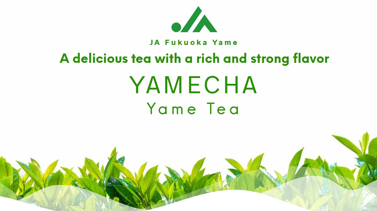 Yame Matcha at home 20g (2g×10 packets)